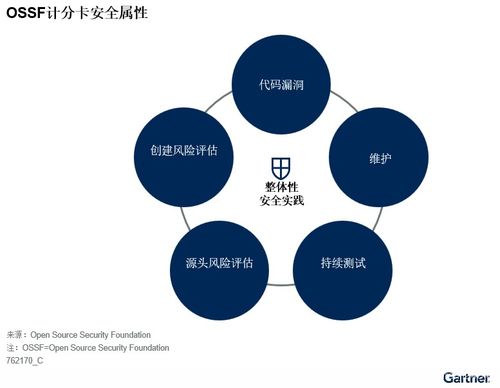 護(hù)航數(shù)字未來 Gartner發(fā)布降低企業(yè)軟件供應(yīng)鏈安全風(fēng)險(xiǎn)指南及全球法規(guī)全景解析